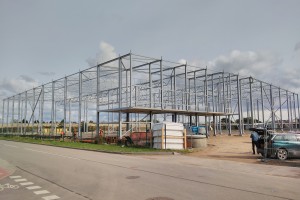 Northproject_lv_Icotton_1